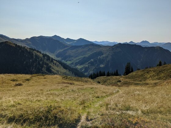 Alpines Panorama am Bischof Blick über eine alpine Graslandschaft auf bewaldete Berghänge und ferne Gipfel unter blauem Himmel.