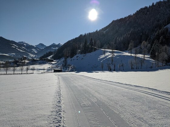 Präparierte Langlaufloipe in einer verschneiten Winterlandschaft unter blauem Himmel mit Sonne.