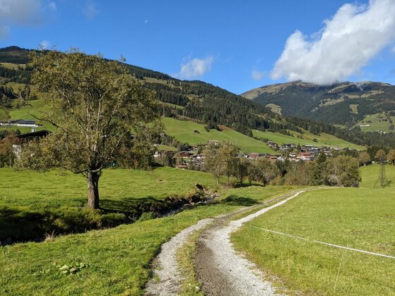 Ein geschotterter Wanderweg führt über grüne Wiesen auf ein Dorf und bewaldete Berge zu.