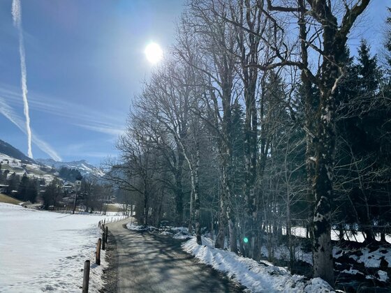 Winterwanderweg in der Kochau Geräumter Winterwanderweg neben einer Baumreihe bei Sonnenschein.