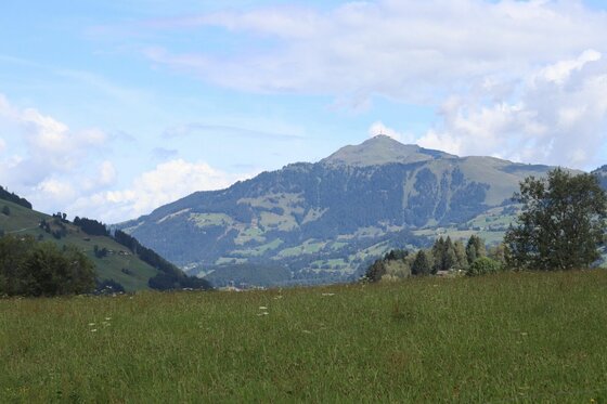 Blick über eine grüne Wiese auf bewaldete Berge unter leicht bewölktem Himmel.