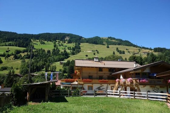 Jugendhotel Noichl im Sommer Alpines Holzhaus mit Blumenschmuck vor bewaldeten Berghängen unter blauem Himmel.