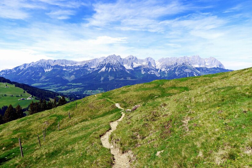 Wanderweg am Kaiserblick Schmaler Wanderpfad auf einer grünen Bergwiese mit Blick auf ein markantes Felsmassiv unter blauem Himmel.