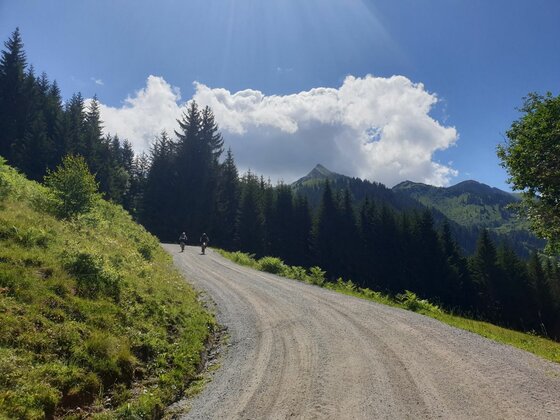 Zwei Mountainbiker auf einem breiten Schotterweg in einer alpinen Waldlandschaft unter blauem Himmel.