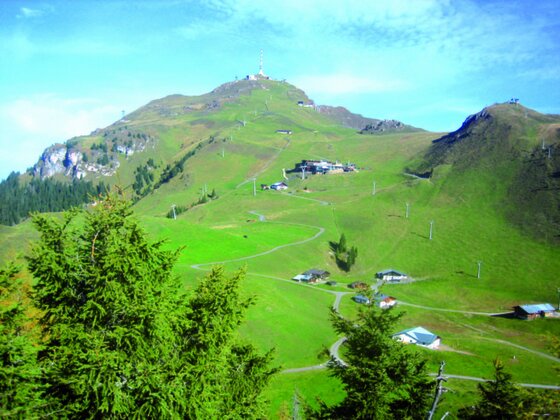 Grüner Berghang mit Wanderwegen, Almhütten und einer Sendeanlage auf dem Gipfel unter blauem Himmel.