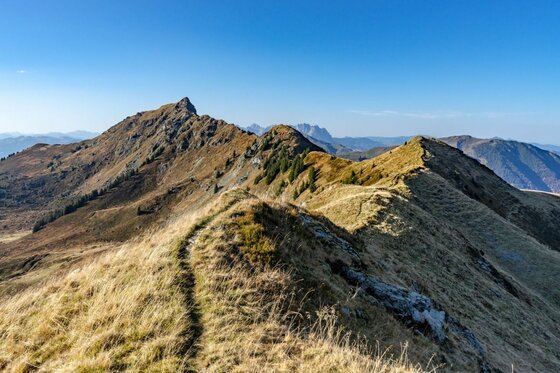 Schmaler Wanderpfad auf einem grasbewachsenen Bergrücken mit Blick auf felsige Gipfel unter blauem Himmel.