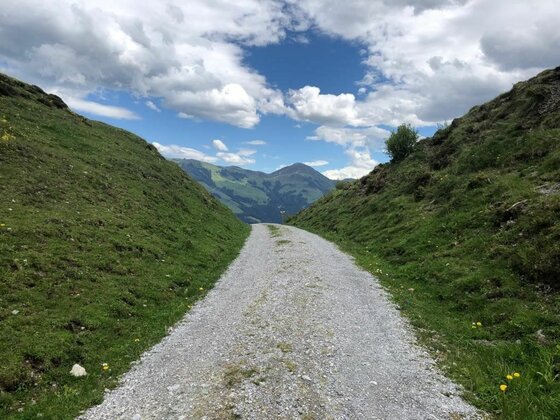 Ein geschotterter Bergweg führt zwischen grünen Hängen hindurch auf ein Bergpanorama unter bewölktem Himmel zu.