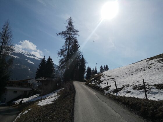 Asphaltierte Bergstraße im Winter mit schneebedeckten Hängen, Nadelbäumen und strahlender Sonne.