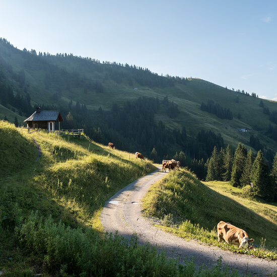 LocalHeroes Südberge in Kitzbühel