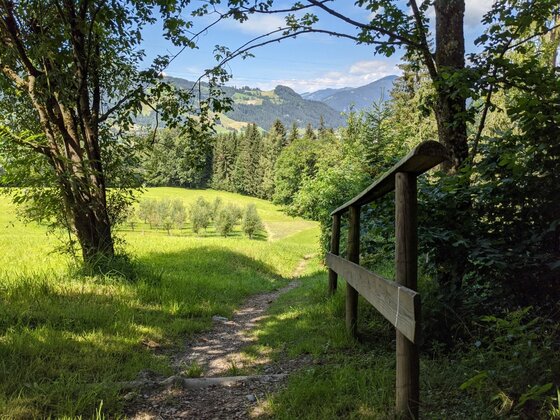 Wanderweg am Sonnberg Schmaler Wanderpfad mit Holzgeländer führt über eine grüne Wiese in Richtung Wald und Berge.