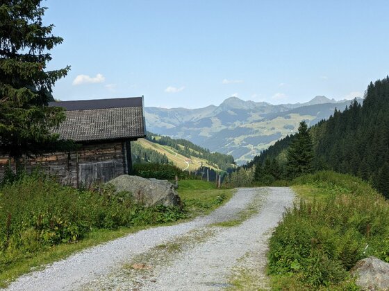 Schotterweg führt an einer Holzhütte vorbei in ein bewaldetes Tal mit Bergblick.