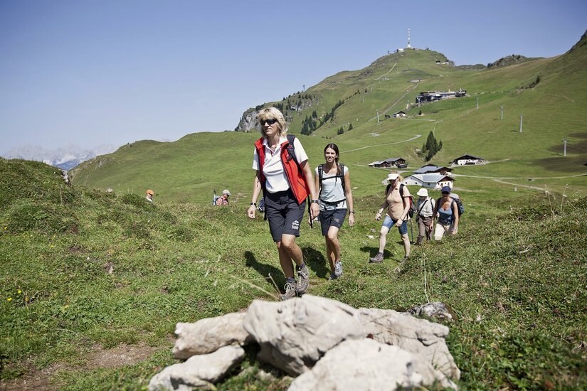 Eine Gruppe von Wanderern geht einen schmalen Pfad auf einer grünen Almwiese bergauf.
