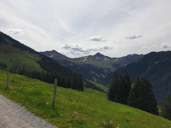 Blick von einem Schotterweg über grüne Almwiesen auf bewaldete Berghänge und entfernte Gipfel unter bewölktem Himmel.