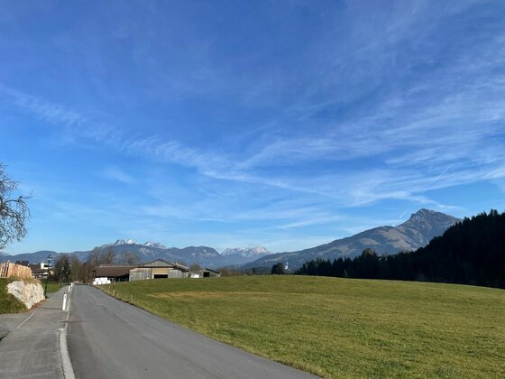 Radweg Wilder Kaiser Asphaltierter Radweg neben einer grünen Wiese mit Blick auf bewaldete Berge und einen markanten Gipfel.