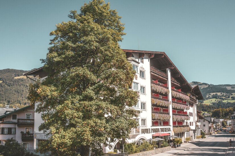 Mehrstöckiges Hotelgebäude mit Blumenbalkonen neben einem großen Laubbaum vor bewaldeten Bergen.