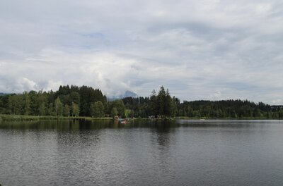 Blick über einen ruhigen See auf ein bewaldetes Ufer unter bewölktem Himmel.