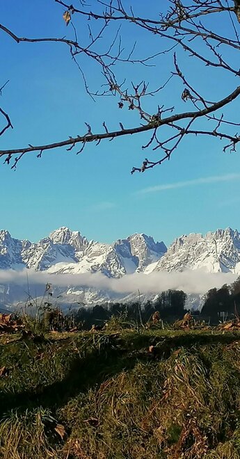 Blick auf den Wilden Kaiser
