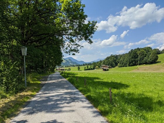 Asphaltierter Wanderweg führt zwischen einer Baumreihe und grünen Wiesen in Richtung Berge.
