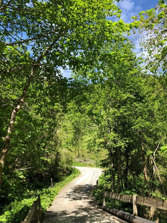 Wanderweg bei der Eggenalm Ein geschotterter Wanderweg führt über eine Holzbrücke durch einen dichten Laubwald.