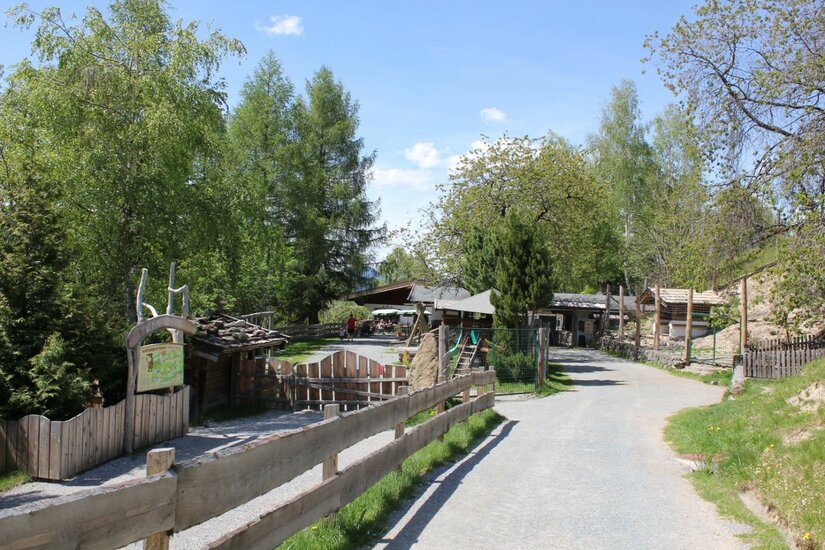 Eingangsbereich Wildpark Ein asphaltierter Weg führt an einem Holzzaun und Bäumen vorbei zu den Gebäuden eines Wildparks.