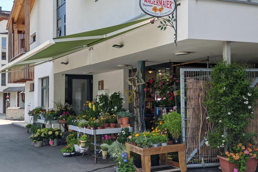 Blumen Wagermaier Außenansicht des Blumengeschäfts Wagermaier mit zahlreichen Topfpflanzen unter einer grünen Markise.