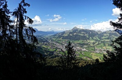 Blick durch Nadelbäume auf ein bewohntes Tal und bewaldete Berge unter blauem Himmel.