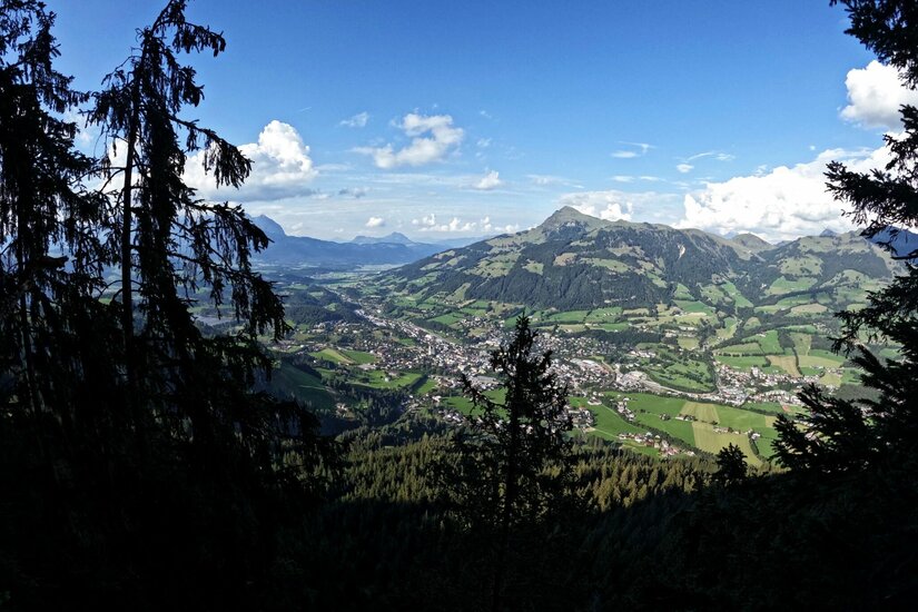 Aussicht vom Rechegg Blick durch Nadelbäume auf ein bewohntes Tal und bewaldete Berge unter blauem Himmel.