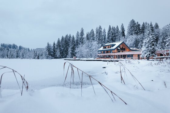 Steghaus Winter Ein malerisches Haus am Rand eines zugefrorenen Sees, umgeben von verschneiten Tannen. Die Winterlandschaft strahlt Ruhe und Idylle aus.