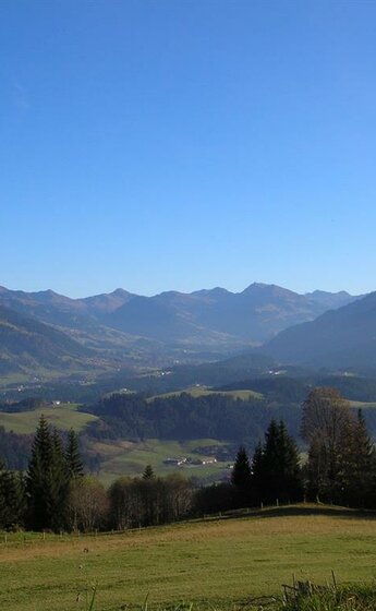 Landschaft