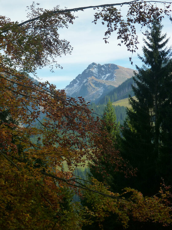Blick durch herbstliche Blätter und Nadelbäume auf einen felsigen Berggipfel unter blauem Himmel.