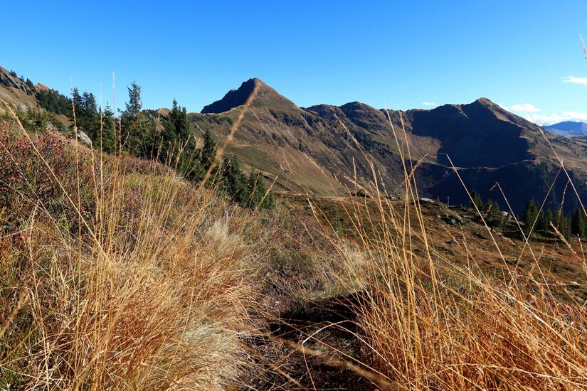 Blick durch hohes, trockenes Gras auf einen markanten Berggipfel unter blauem Himmel.