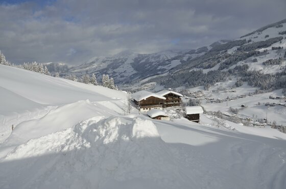 Verschneite Holzhäuser in einer alpinen Winterlandschaft mit Bergen im Hintergrund.