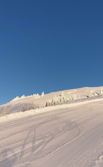 Piste
