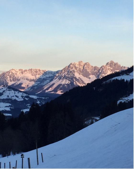 Verschneite Bergkette im Abendlicht hinter einem dunklen Waldhang.