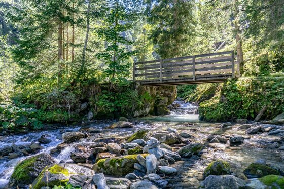 Holzbrücke über einen steinigen Gebirgsbach in einem Wald.