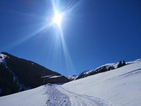 Verschneiter Weg führt zu einer Holzhütte unter strahlender Sonne in einer alpinen Winterlandschaft.