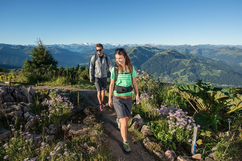 Zwei Wanderer auf einem schmalen Bergpfad vor einem weiten Alpenpanorama mit grünen Hängen.