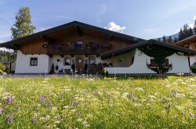 Alpines Wohnhaus mit Holzbalkon und Blumenkästen hinter einer blühenden Wiese.