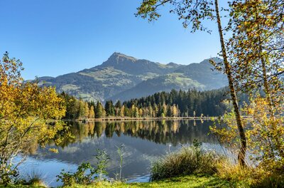 Schwarzsee mit Kitzbüheler Horn Blick über den Schwarzsee auf den Kitzbüheler Horn Gipfel mit herbstlichen Bäumen im Vordergrund.