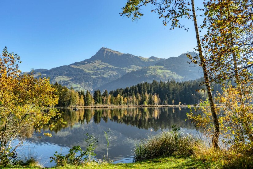 Blick über den Schwarzsee auf den Kitzbüheler Horn Gipfel mit herbstlichen Bäumen im Vordergrund.