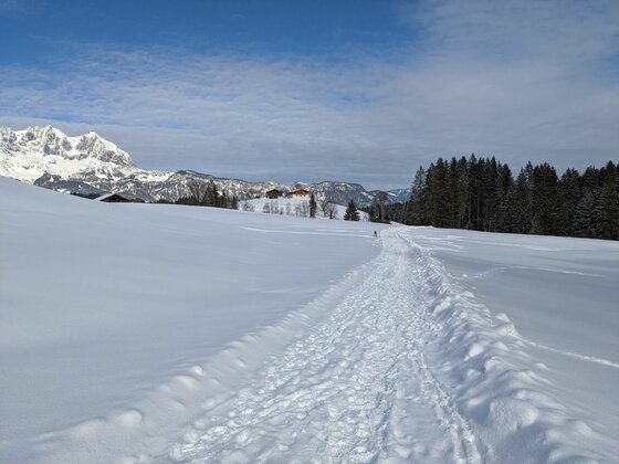 Ein präparierter Winterwanderweg führt durch eine verschneite Hügellandschaft vor einem Bergmassiv.