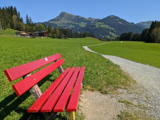 Rote Holzbank an einem Schotterweg vor einer grünen Wiese und Bergen.