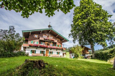 Traditionelles Holzhaus mit Blumenschmuck auf einer Wiese vor Bäumen.