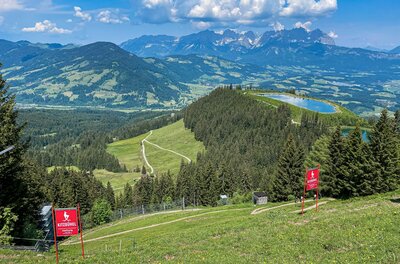 Panorama am Hahnenkamm Blick von einem Grashang auf bewaldete Berge, einen Speichersee und ein Gebirgsmassiv im Hintergrund.