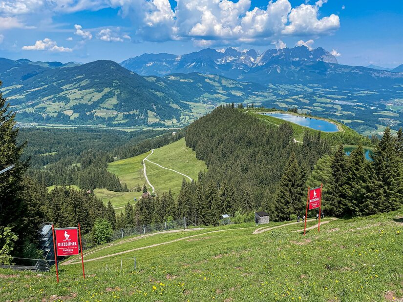 Panorama am Hahnenkamm Blick von einem Grashang auf bewaldete Berge, einen Speichersee und ein Gebirgsmassiv im Hintergrund.