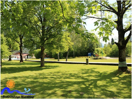 Liegewiese Ein grüner Park mit großen Bäumen und einem gepflegten Rasen. Im Hintergrund sind einige Gebäude und eine gepflegte Umgebung sichtbar.