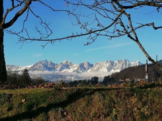 Blick durch kahle Baumzweige auf das schneebedeckte Massiv des Wilden Kaisers unter blauem Himmel.