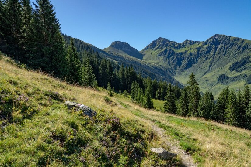 Wanderweg am Berghang Ein schmaler Wanderpfad führt über einen grasbewachsenen Hang mit Nadelbäumen vor einem Bergmassiv unter blauem Himmel.