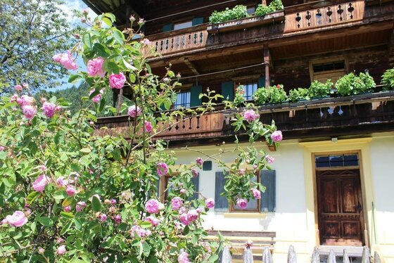 Eingang Grünberghof Ein traditionelles Holzhaus mit Blumenkästen und einem blühenden Rosenstrauch im Vordergrund.