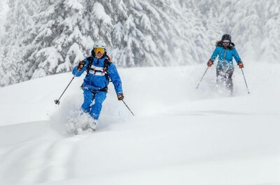 Zwei Skifahrer in blauer Kleidung fahren durch tiefen Pulverschnee vor verschneiten Nadelbäumen.